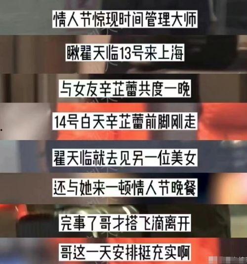 刘大锤最新爆料辛芷蕾,背后真相令人震惊！